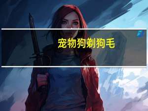 宠物狗剃狗毛