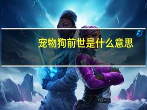 宠物狗前世是什么意思