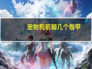 宠物狗前脚几个指甲