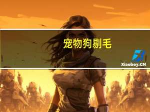 宠物狗剔毛