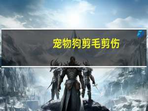 宠物狗剪毛剪伤
