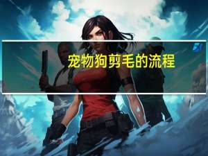 宠物狗剪毛的流程