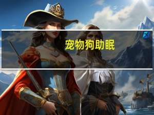宠物狗助眠