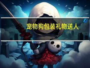 宠物狗包装礼物送人