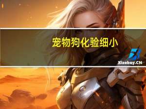 宠物狗化验细小