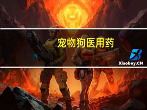 宠物狗医用药