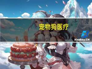宠物狗医疗
