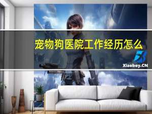 宠物狗医院工作经历怎么