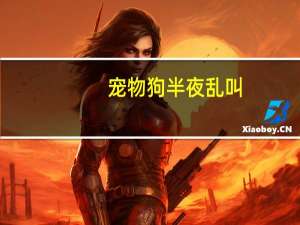 宠物狗半夜乱叫