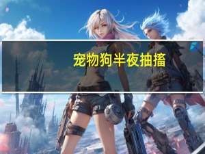 宠物狗半夜抽搐