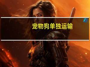 宠物狗单独运输