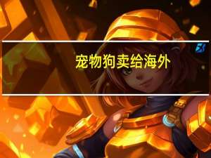 宠物狗卖给海外