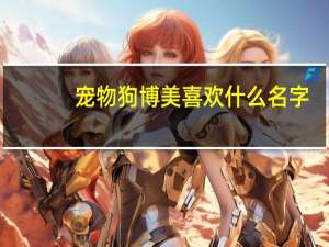 宠物狗博美喜欢什么名字