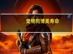 宠物狗博美寿命