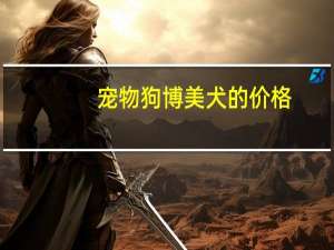 宠物狗博美犬的价格