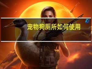 宠物狗厕所如何使用