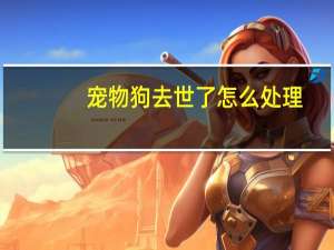 宠物狗去世了怎么处理
