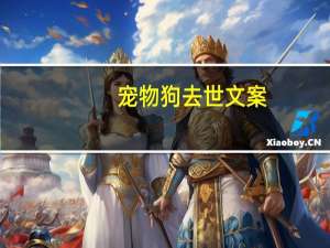 宠物狗去世文案