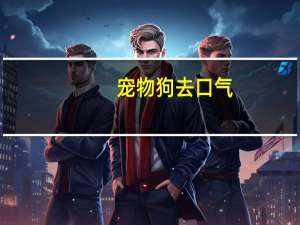 宠物狗去口气