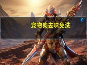 宠物狗去味免洗