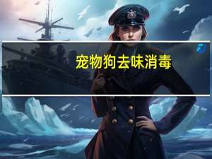 宠物狗去味消毒