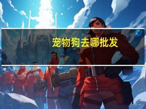 宠物狗去哪批发