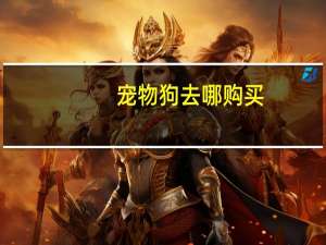 宠物狗去哪购买