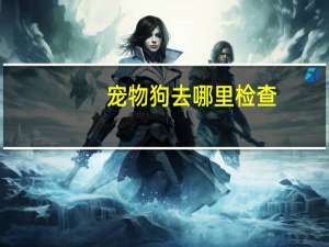 宠物狗去哪里检查