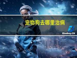 宠物狗去哪里治病