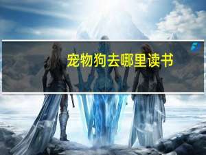 宠物狗去哪里读书