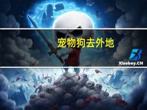 宠物狗去外地