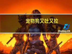 宠物狗又吐又拉