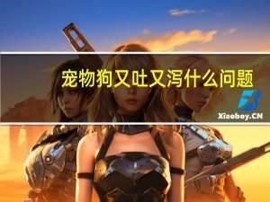 宠物狗又吐又泻什么问题