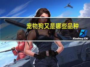 宠物狗又是哪些品种