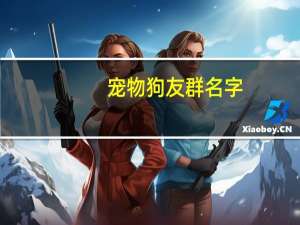 宠物狗友群名字