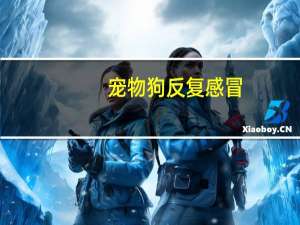 宠物狗反复感冒