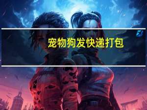 宠物狗发快递打包