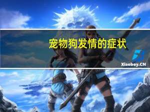 宠物狗发情的症状