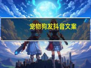 宠物狗发抖音文案