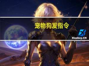 宠物狗发指令