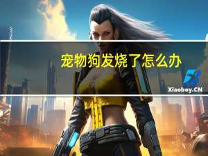 宠物狗发烧了怎么办