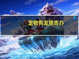 宠物狗发烧咋办