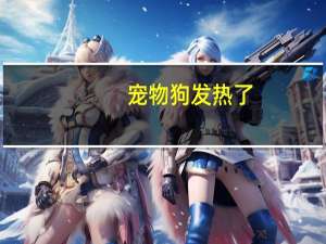 宠物狗发热了
