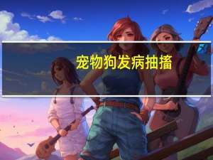 宠物狗发病抽搐
