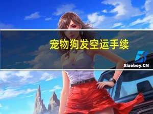 宠物狗发空运手续