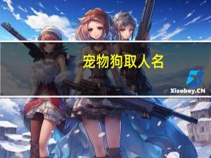 宠物狗取人名