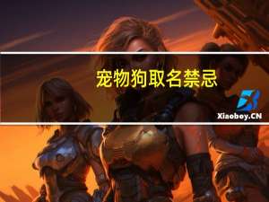宠物狗取名禁忌