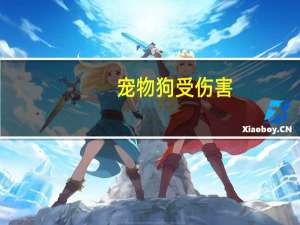 宠物狗受伤害