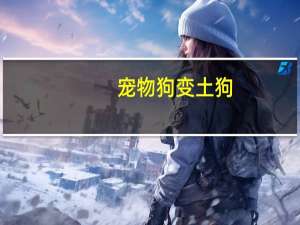 宠物狗变土狗