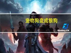 宠物狗变成狼狗